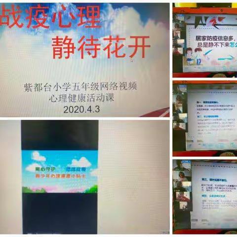 “相聚云端，网络课堂”——暨紫小五年级四月网络教学纪实小结