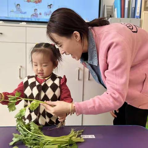 爱生堡自由舱之“宝宝班🌸”续篇