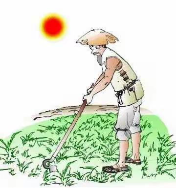 珍惜盘中餐，文明在心间——辋川镇中心学校校本部文明餐桌活动报道