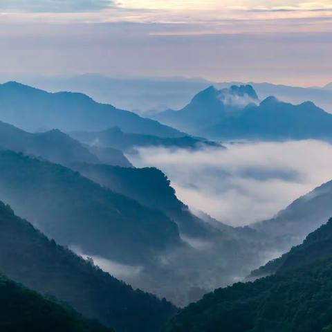 空山新雨后