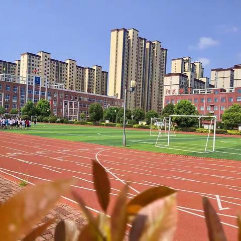 绿茵场上竞风云      阳光龙城育桃李   --方城县龙城小学第五届“阳光杯”校园足球联赛胜利闭幕