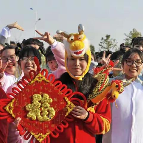 冬日暖阳芳华绽