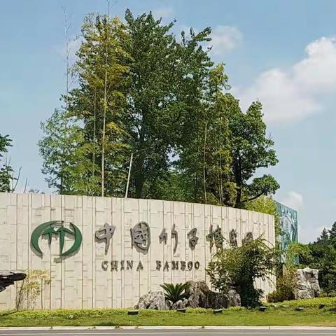 开局-一次说走就走的旅行， 结局-再次互道珍重的惜别。
