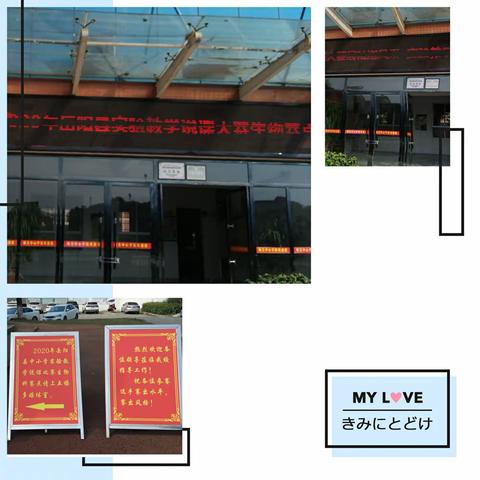 说课大赛展精湛风采  实验教学育德艺英才