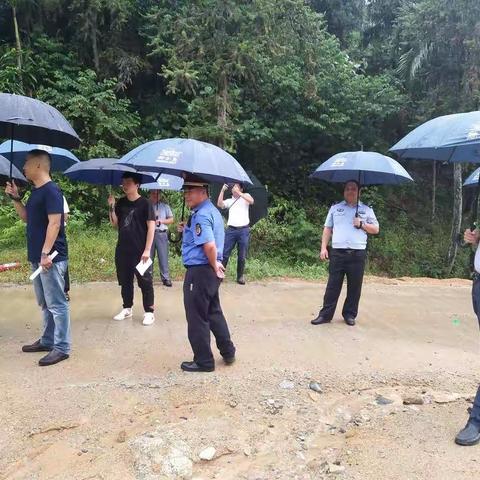 保亭森警冒雨守护生态安全