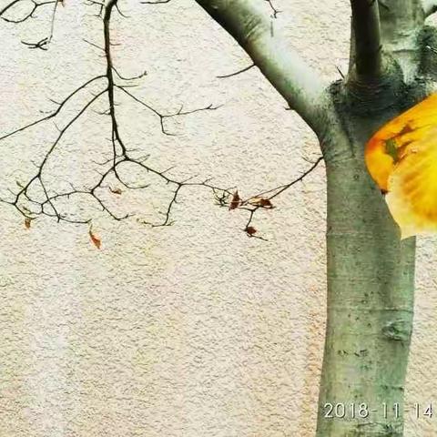 秋思