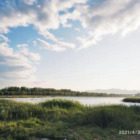 蓝天，碧湖，青草——暮春，沙河水库