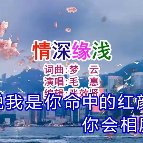 我对你情深却缘浅