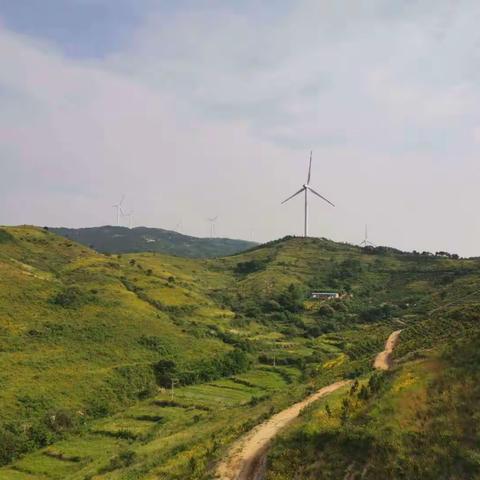花山