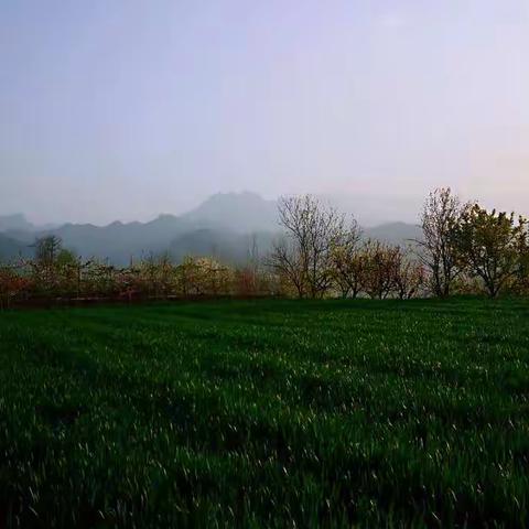 发现宝鸡之美——袁家坪