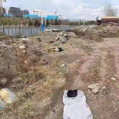 新城区整改偷倒乱倒现象及卫生死角
