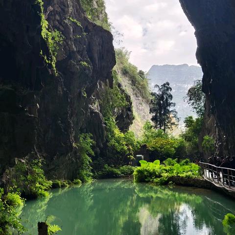 “天下第一洞”，﻿广西河池巴马百魔洞