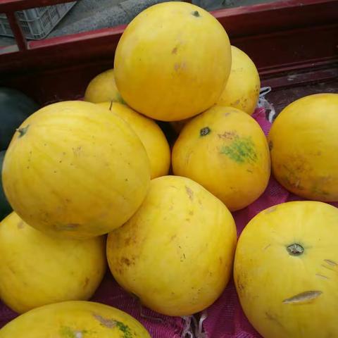 这是啥？我的天