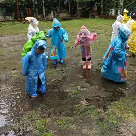 探索活动——《童年“雨”你在一起》