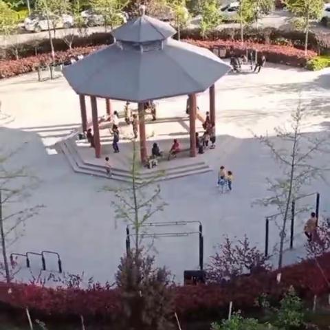 党建引领，为民服务