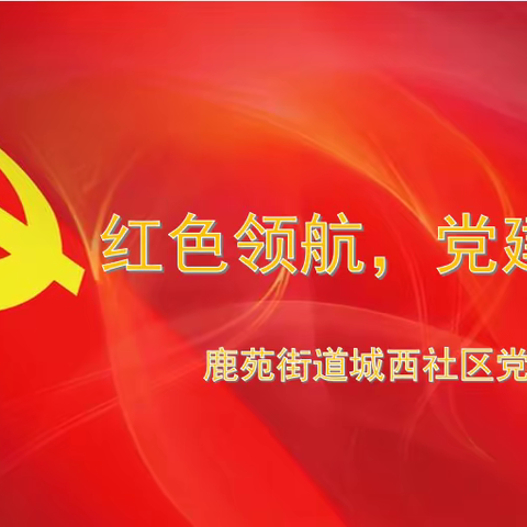 党建引领 红色领航 坚守初心 确保安全——城西社区党支部开展全员核酸检测工作