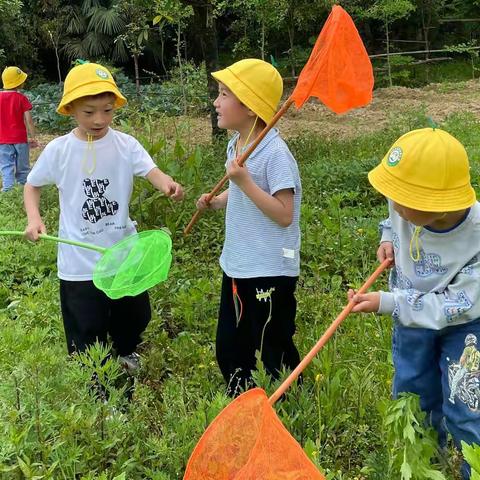 我和初夏撞个满怀——东方城幼儿园大一班户外课程