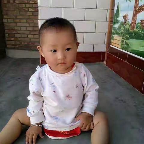 紫色四叶草的美篇