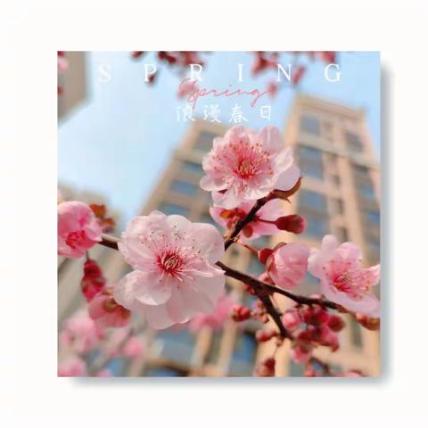 金地物业-山阳春天2月份工作月报美篇