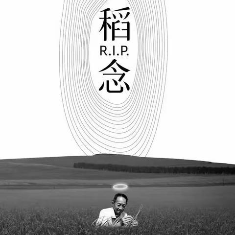 🌾禾下乘凉梦，稻因你而香🌾———兖矿二小苏庄分园缅怀袁隆平院士主题活动