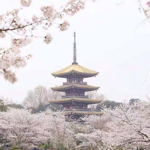 线上花开，春来勤学早————1817班“停课不停学，我们在行动”