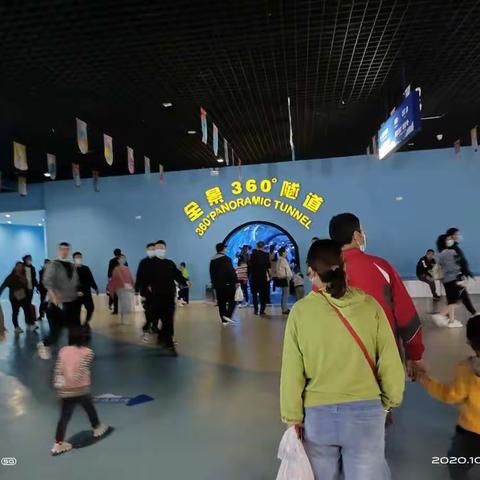 西安曲江海洋馆一日游