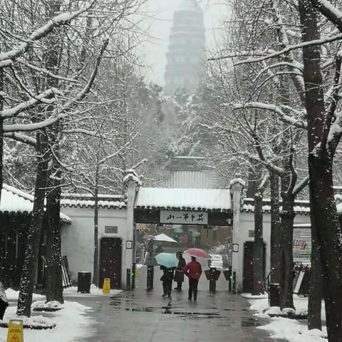 2018虎丘的第一场雪。（副本）