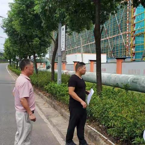 炎炎烈日走现场