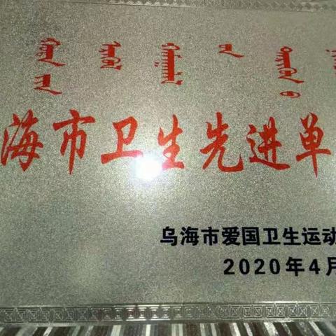 喜报 海区九小荣获“乌海市卫生先进单位”