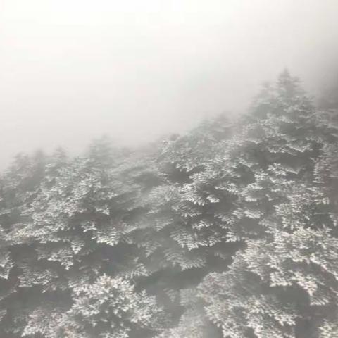 雪之梦