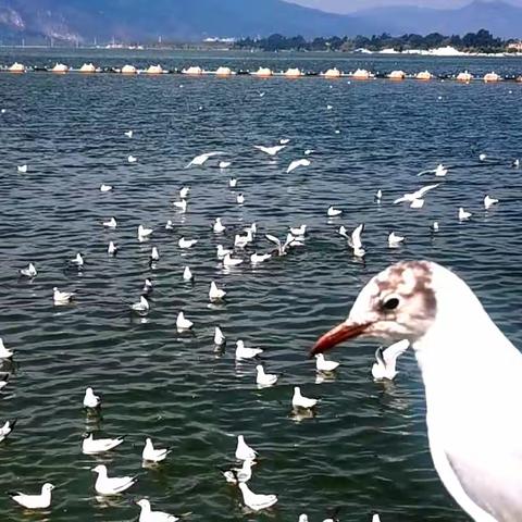 2023年春季云南自驾（十六）