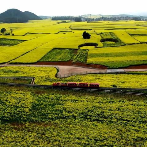 2023年春季云南自驾（十五）