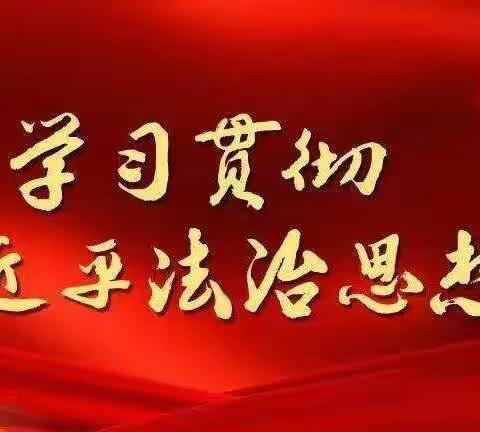 石渠县洛须幼儿园（2022年）——学习贯彻习近平法治思想