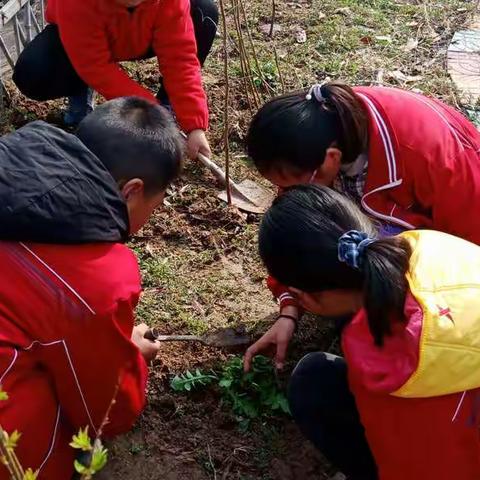 走！让我们一起去植树（虺城小学）