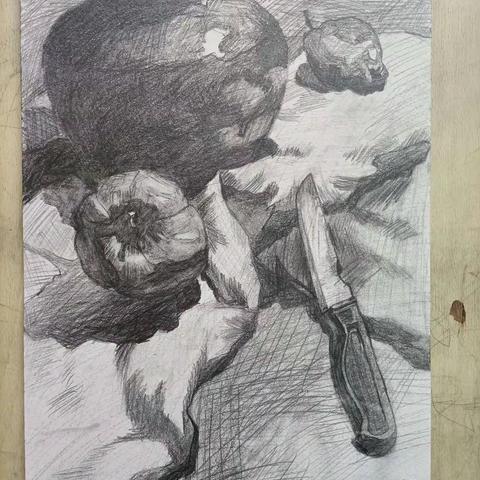 孩子们的课堂作业