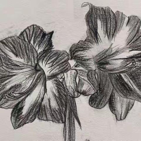 孩子们的课堂作业