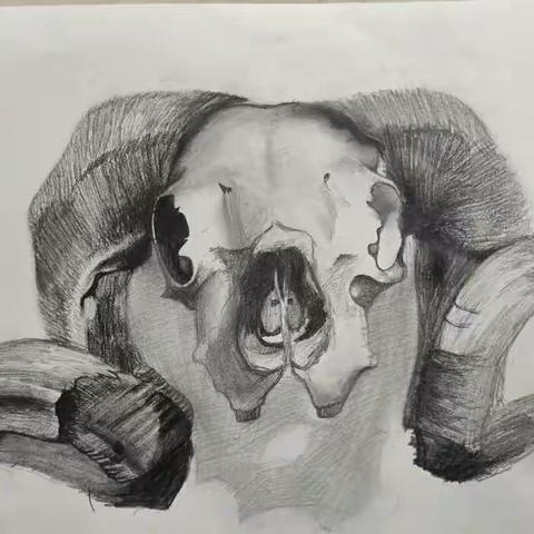 孩子们的课堂作业