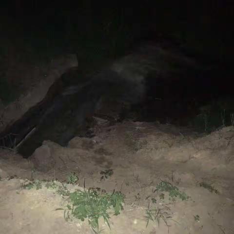 深夜勘察5号坑排水情况