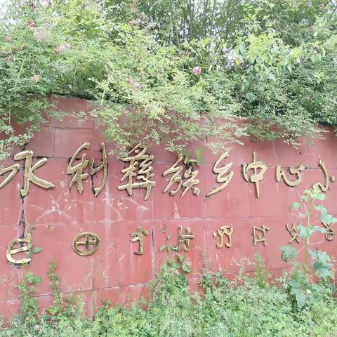 永利彝族乡中心小学“六 一”儿童节庆祝活动