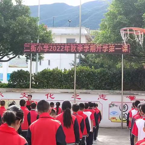 追光的路上