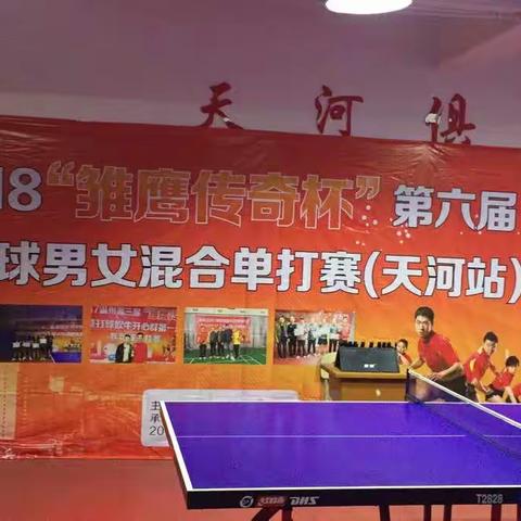 2018温州雏鹰传奇第六届乒乓球男女混合单打赛