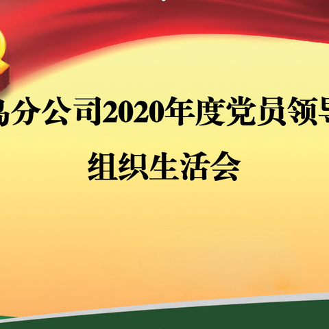 葫芦岛分公司召开2020年度党员领导干部组织生活会