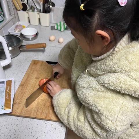 番茄炒蛋我的最爱—丹城五小207班正和中队慕孟彤