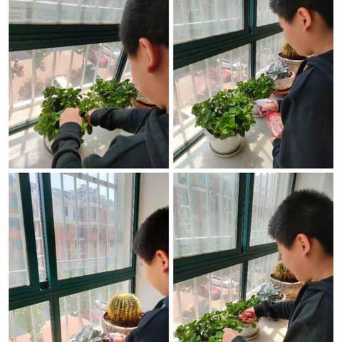 “动物植物亦有情 呵护生命我能行”—2014级六班五一实践活动