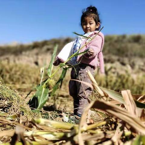 铸牢中华民族共同体意识——准格尔旗薛家湾十七幼儿园——“中华民族一家亲”社会实践主题活动