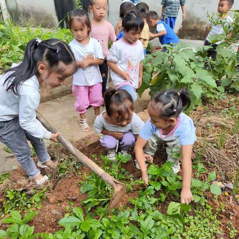 幼儿园的“一亩三分地”