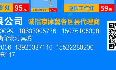 鼎承杂志灯饰版11月刊B面