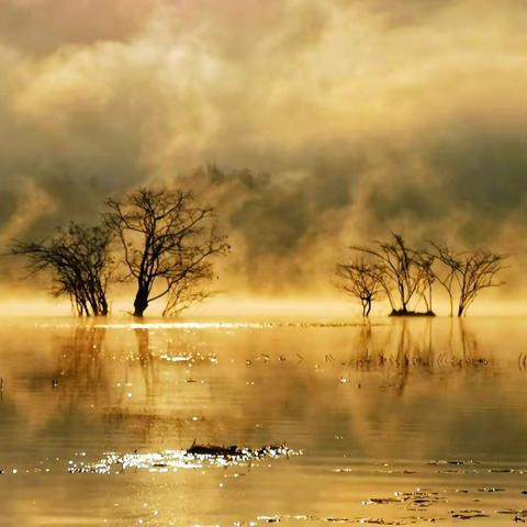 秋深情浓（临江仙•秋湖、渔家傲•秋恋、调笑令•秋霞）古诗词（47—49）