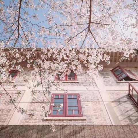 明德惟馨，三小待花开
