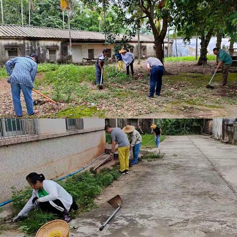 市农科所开展人居环境卫生整治大扫除活动